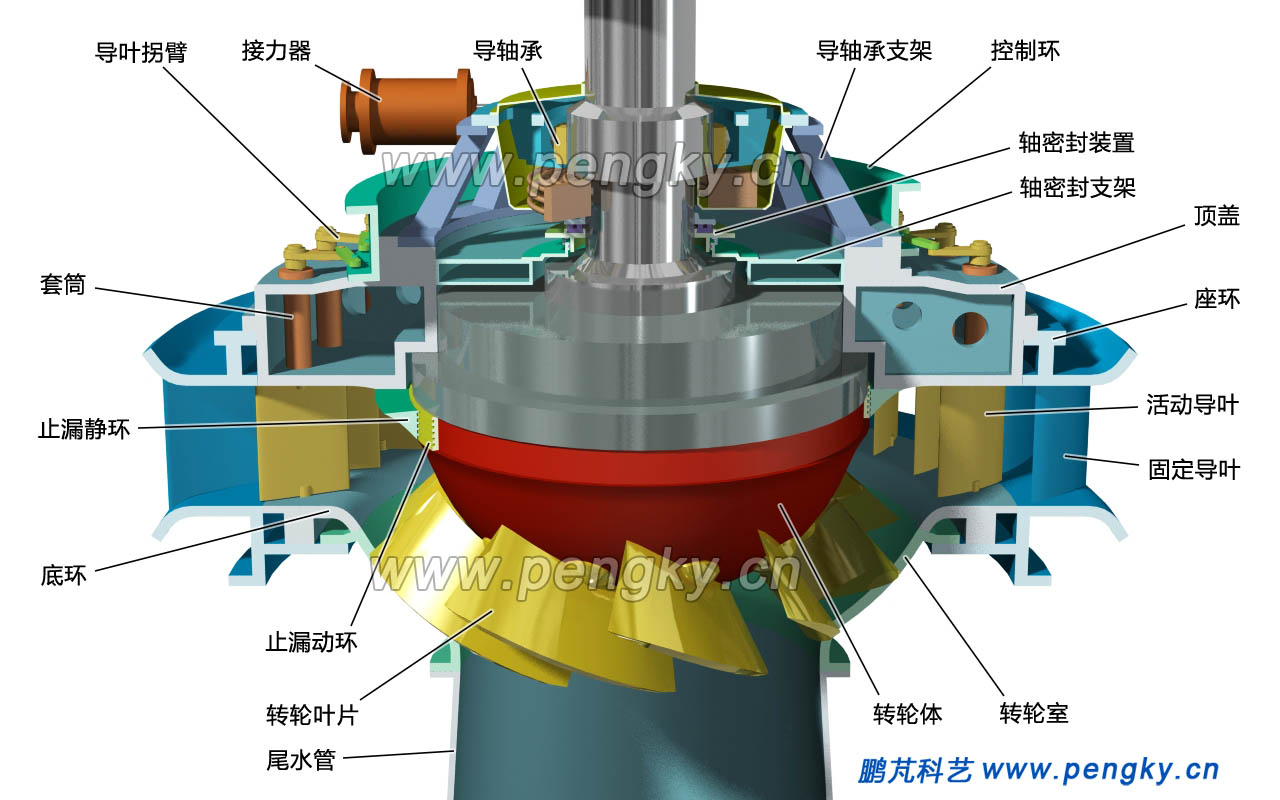 斜流式水輪機(jī)結(jié)構(gòu)圖 